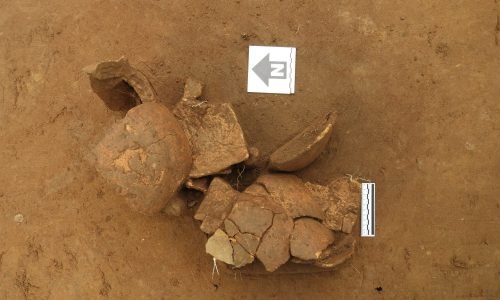 Arqueólogo Daniel A. Gomez (1)