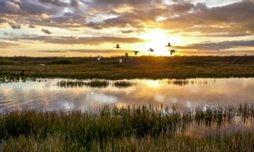 Estudios Ambientales